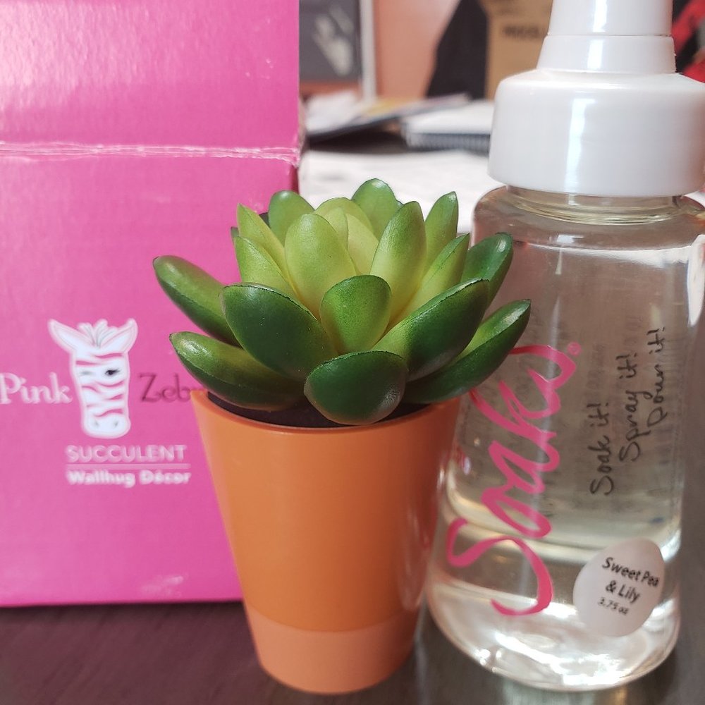 Pink Zebra Wallhug Decor & Soaks